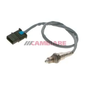 VE381829 Cambiare
