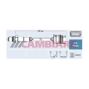 VE381866 Cambiare