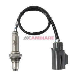 VE381809 Cambiare