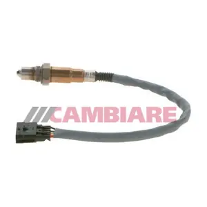 VE381841 Cambiare