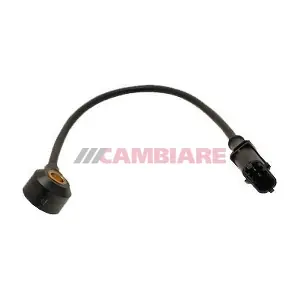 VE369020 Cambiare