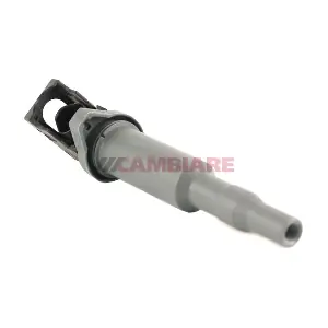 VE520492 Cambiare