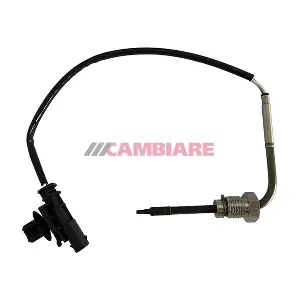 VE390295 Cambiare