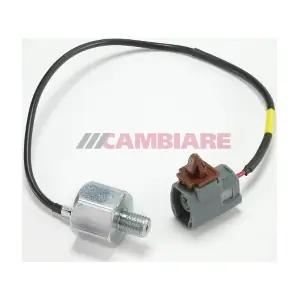 Cambiare VE369086