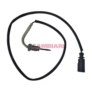 VE390318 Cambiare