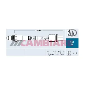 VE381906 Cambiare