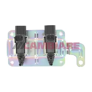 VE388000 Cambiare