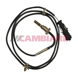 VE390406 Cambiare
