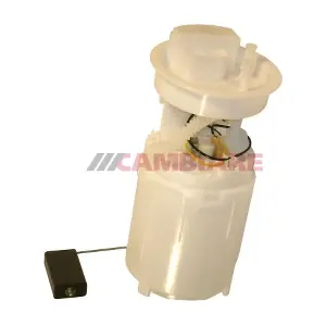 Cambiare VE523044