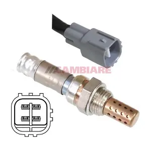 VE381297 Cambiare