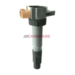 VE520584 Cambiare