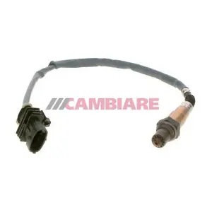 VE381825 Cambiare