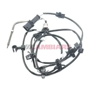 VE390225 Cambiare