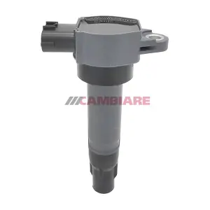 VE520585 Cambiare