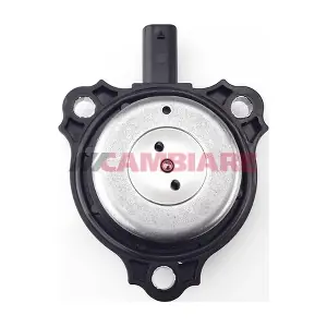 VE715079 Cambiare