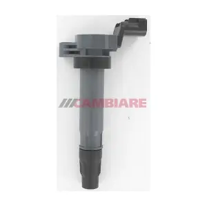 VE520624 Cambiare