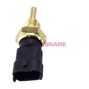 VE718191 Cambiare