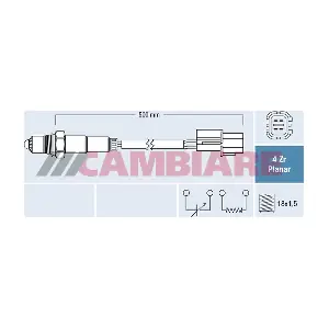 VE381863 Cambiare