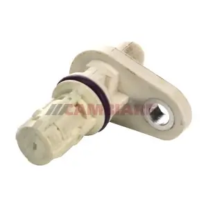 VE363676 Cambiare