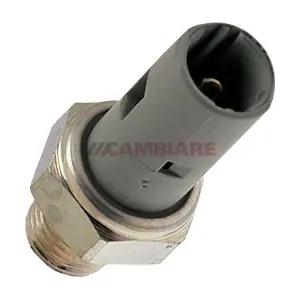 VE706071 Cambiare