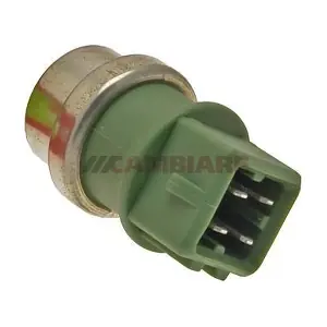 VE718089 Cambiare
