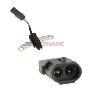 VE363006 Cambiare