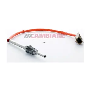 VE390273 Cambiare