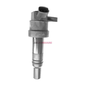 VE520555 Cambiare