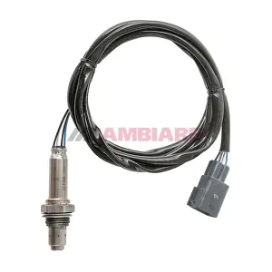 VE381763 Cambiare