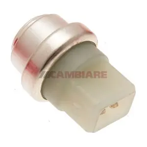 VE718084 Cambiare