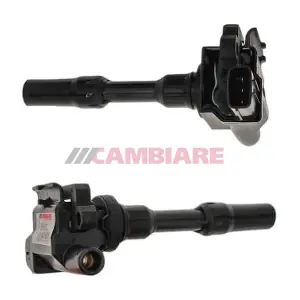 VE520301 Cambiare