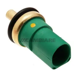VE375025 Cambiare