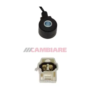 VE369121 Cambiare