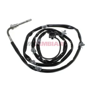 VE390033 Cambiare