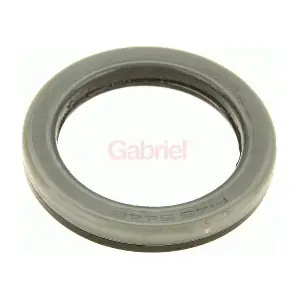 GK500 GABRIEL