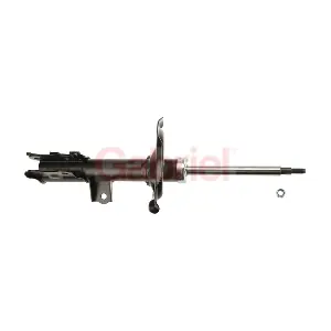 G54305 GABRIEL