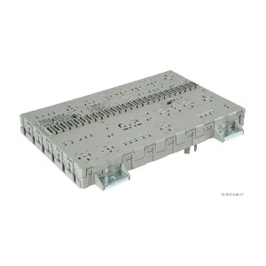 215004 OREX