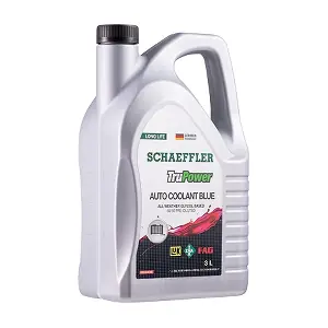 GM6277M Schaeffler TruPower