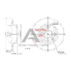 AUTO FRANCE PARTS 22-0001C