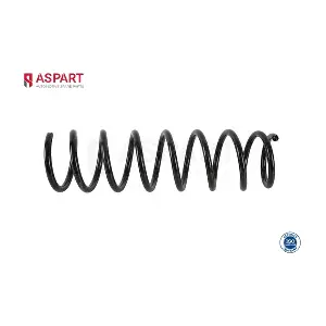 1CSP1061 ASPART