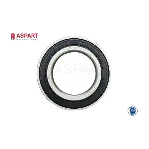 1WBE1007 ASPART