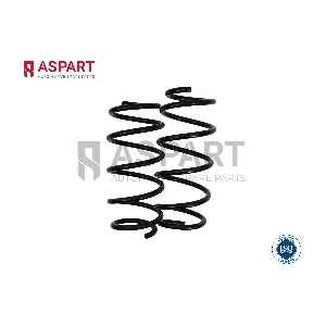 1CSP1033 ASPART