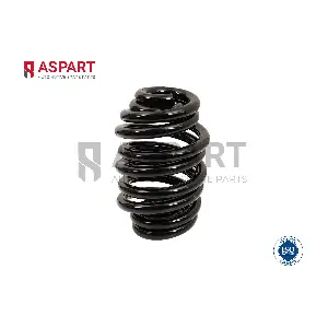 1CSP1195 ASPART