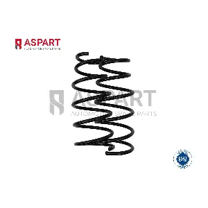 1CSP1131 ASPART