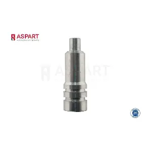 5IHO1025 ASPART