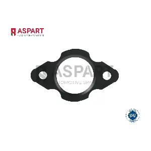 5GAS1021 ASPART