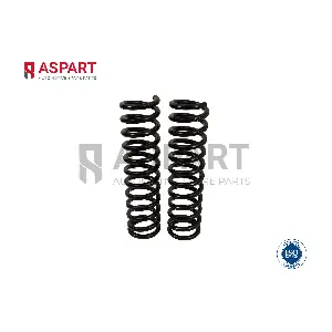 1CSP1006 ASPART