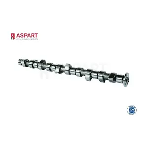 8CAM1079 ASPART