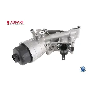 6OCO1118 ASPART