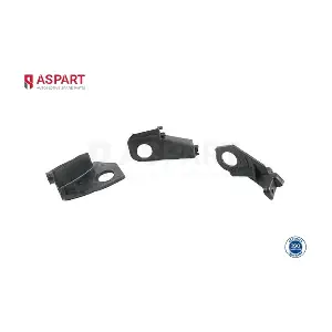 2RKI1013 ASPART